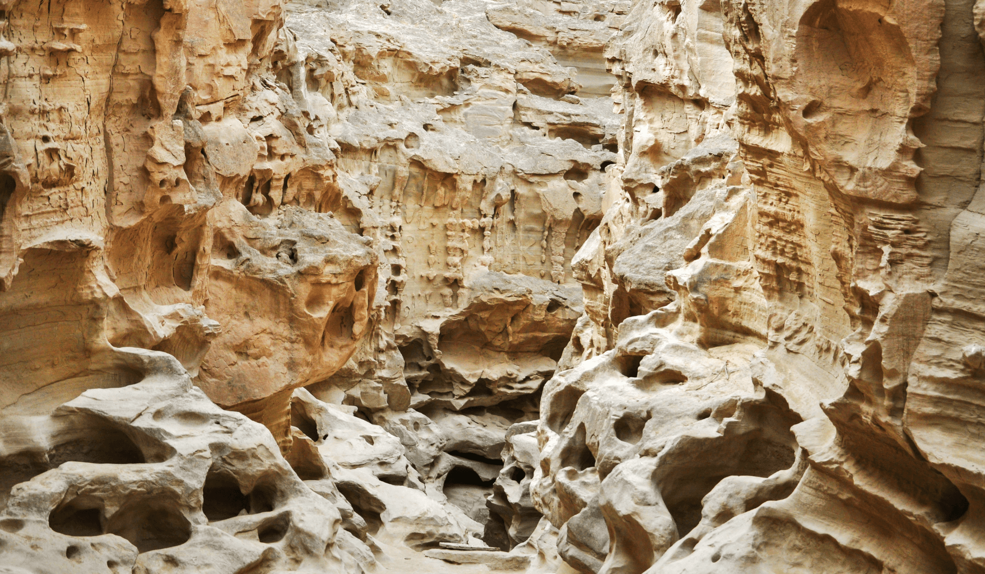 À la découverte de l’île iranienne de Qeshm